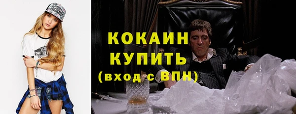 прущие грибы Каменск-Шахтинский