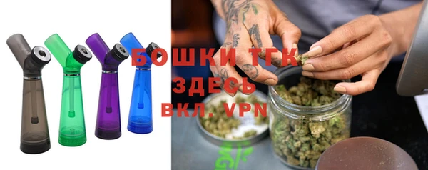 мдпв Каменногорск