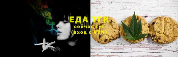 мдпв Каменногорск