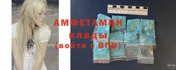 прущие грибы Каменск-Шахтинский