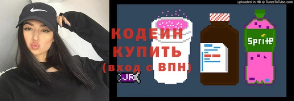 мдпв Каменногорск