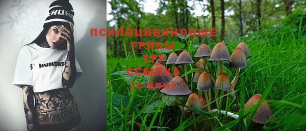 мдпв Каменногорск