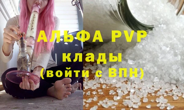 мдпв Каменногорск