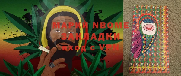 прущие грибы Каменск-Шахтинский