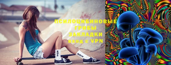 мдпв Каменногорск