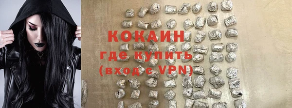 мдпв Каменногорск
