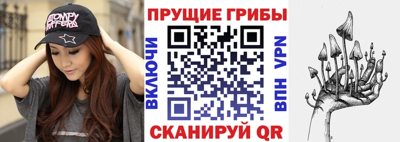 Галлюциногенные грибы Cubensis  Омск 